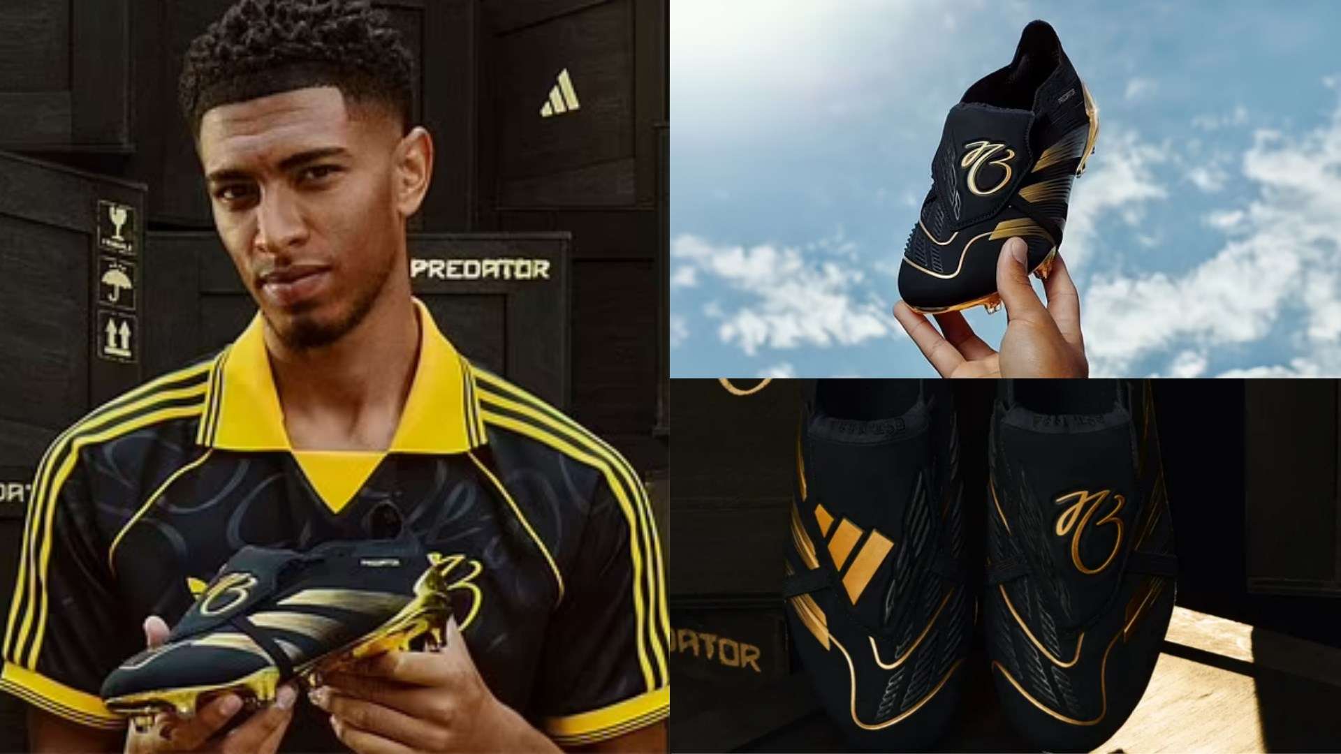 我们可以看 我们可以看